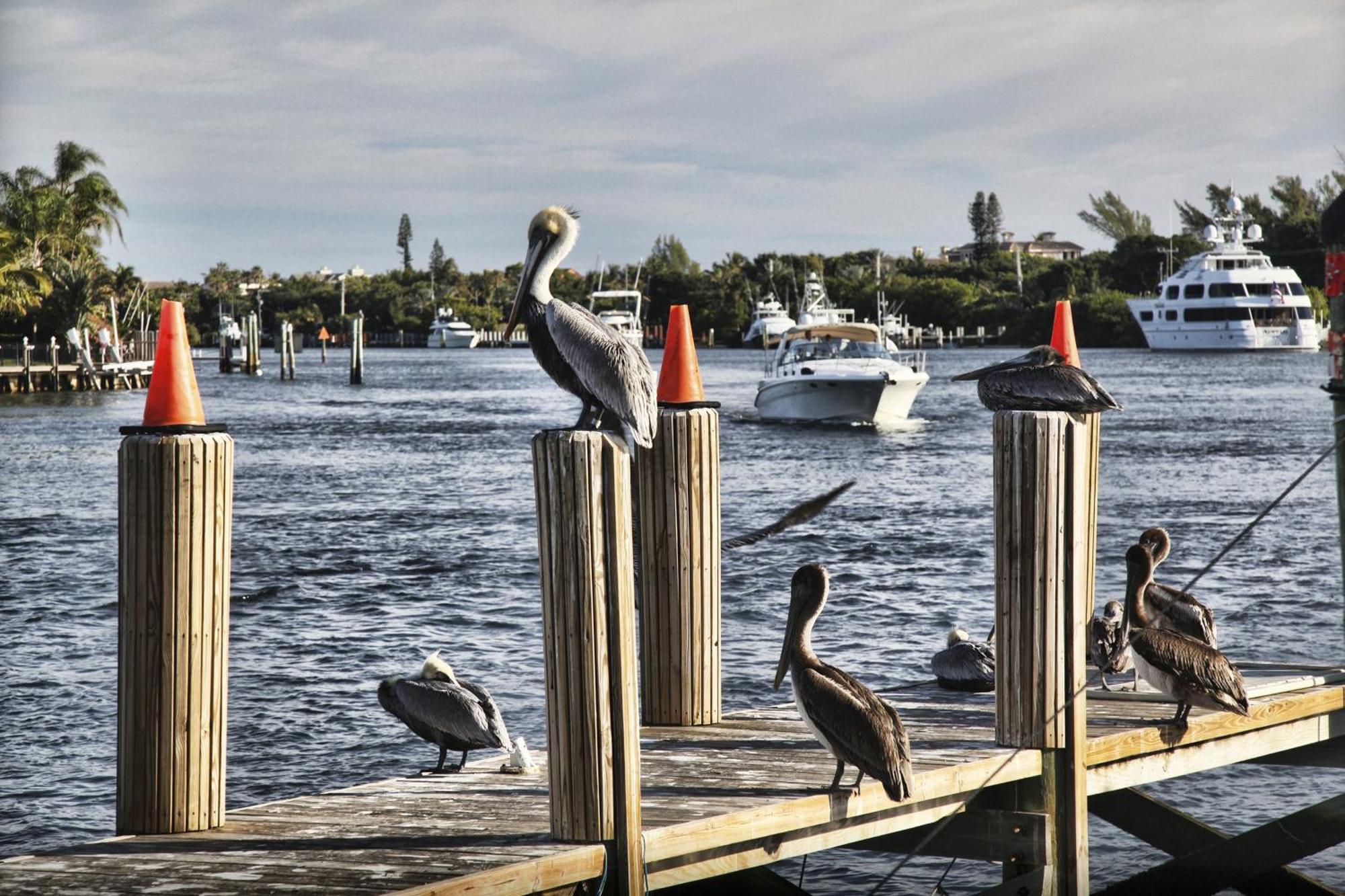 Floranada Condos Pompano Beach Luaran gambar